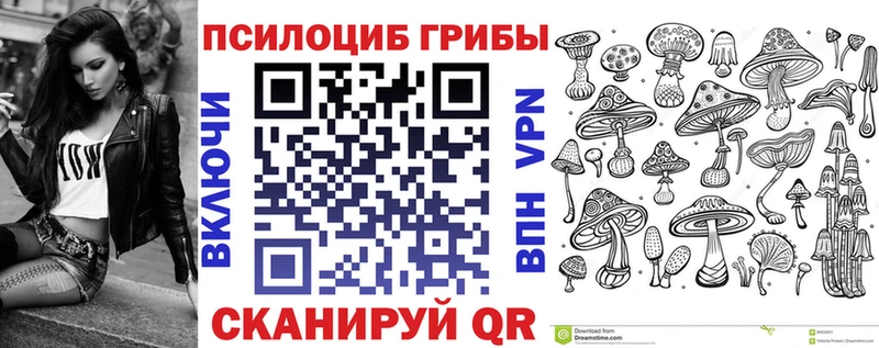 Галлюциногенные грибы Psilocybe  Староминская 