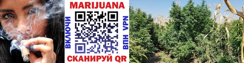 Каннабис SATIVA & INDICA  Староминская 